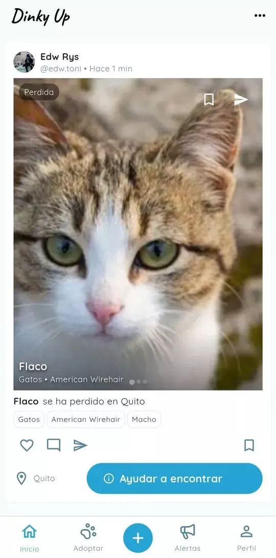 Lost pet card with location context.