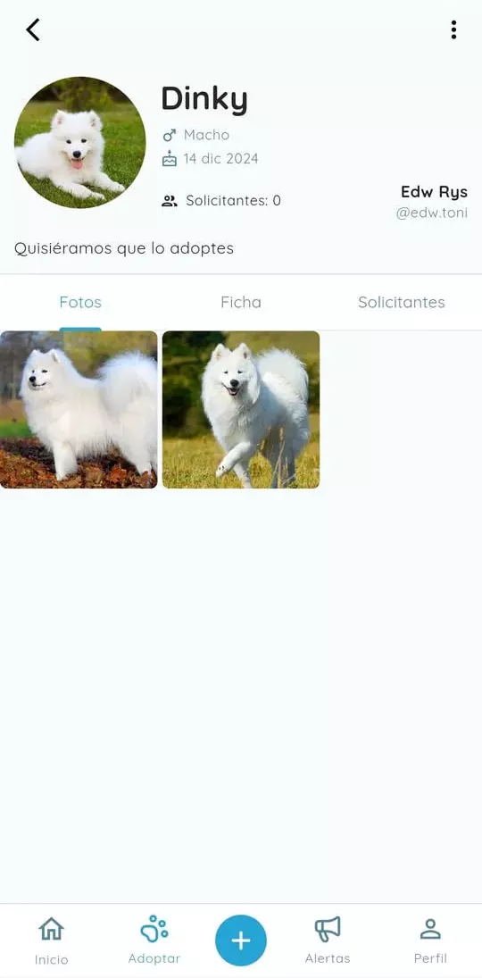 Gallery of the available pet.