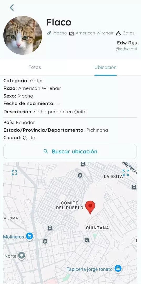 Alert detail with real-time location context.