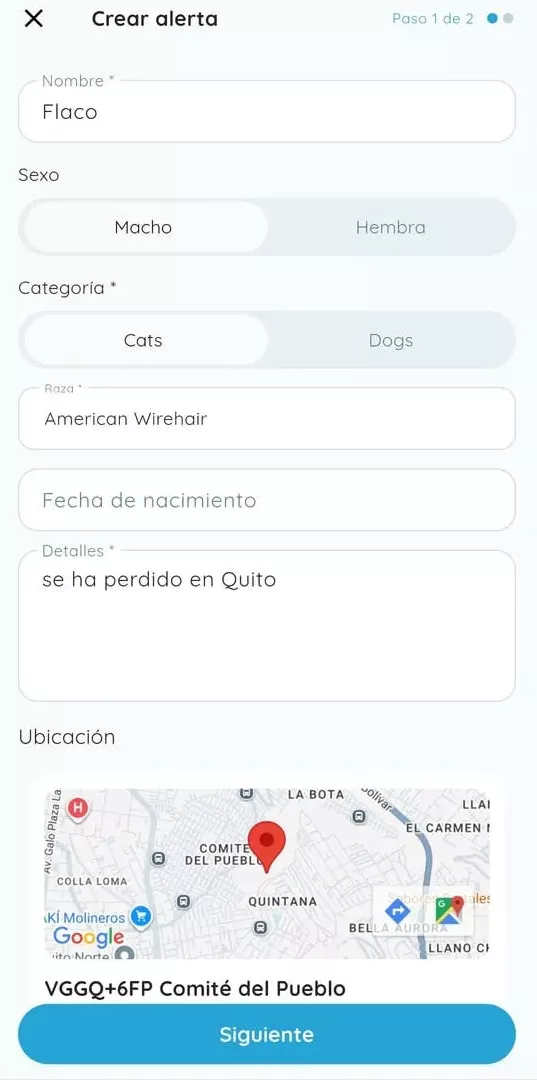 First step to describe a lost pet.