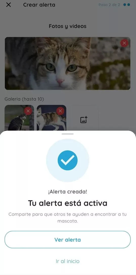 Alert confirmation and submission.