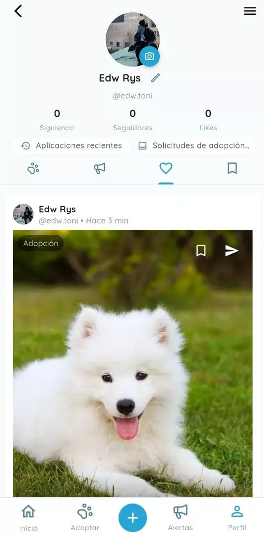 Personal panel & achievements