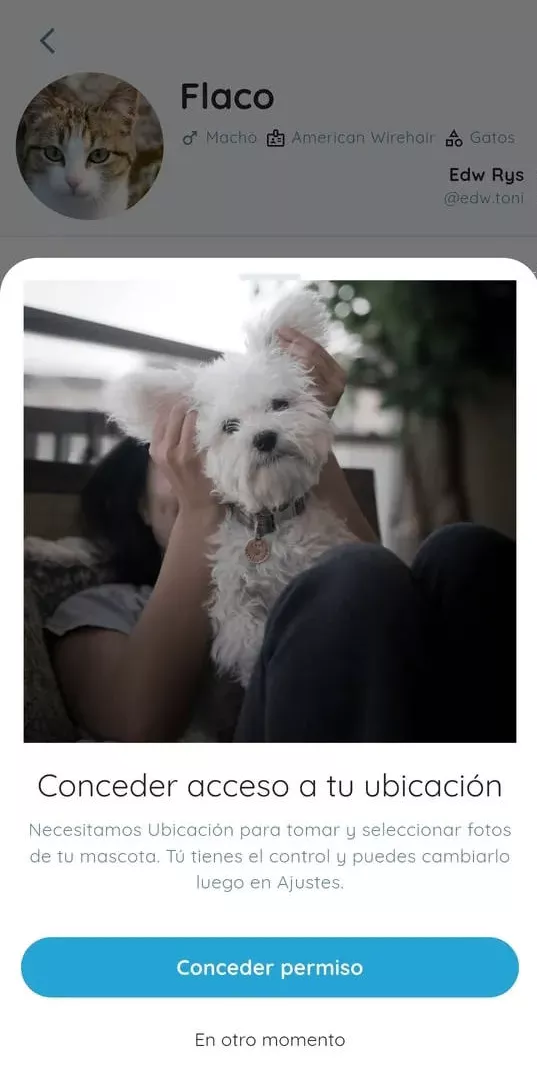 Contextual location permission request.